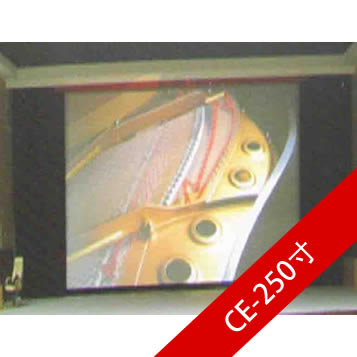 可视CE-250寸工程大电动幕